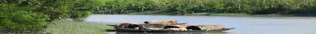 সুন্দরবণের অপরূপ সৌন্দর্য ভ্রমণ