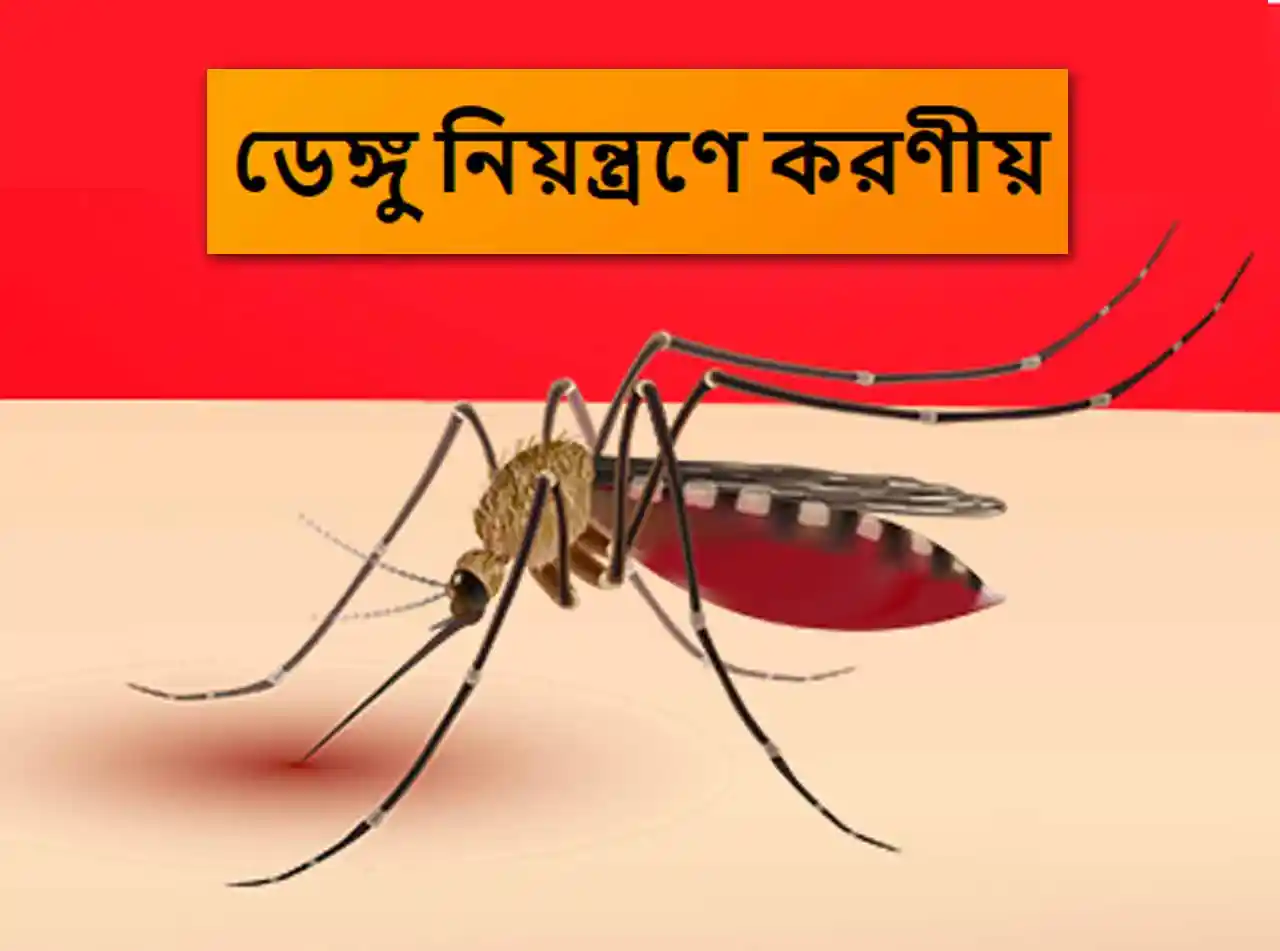 ডেঙ্গু প্রতিরোধ করার ৮টি করণীয় ও সতর্কতা