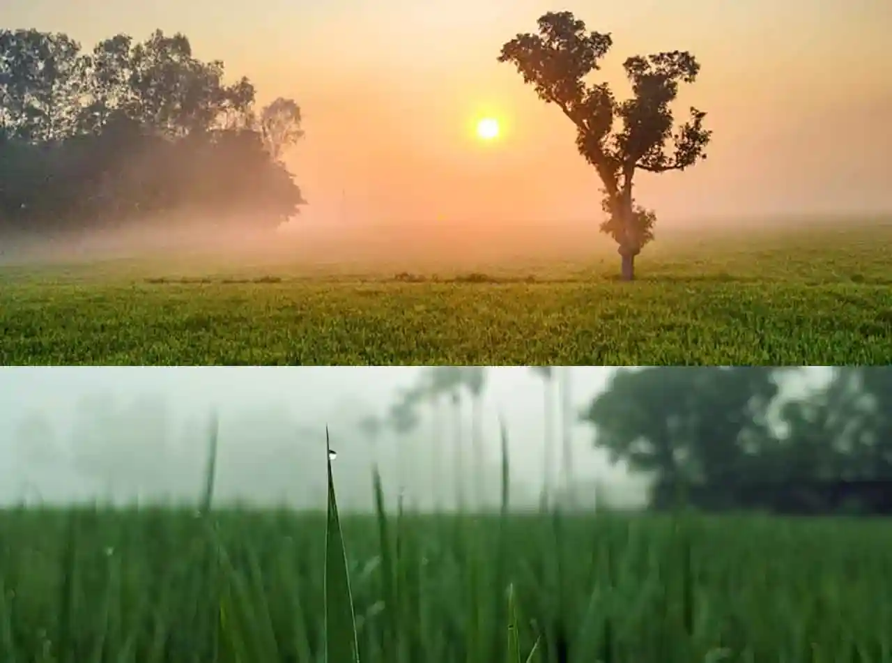 পঞ্চগড়ে শীতের ইঙ্গিত ভাদ্র মাসেই