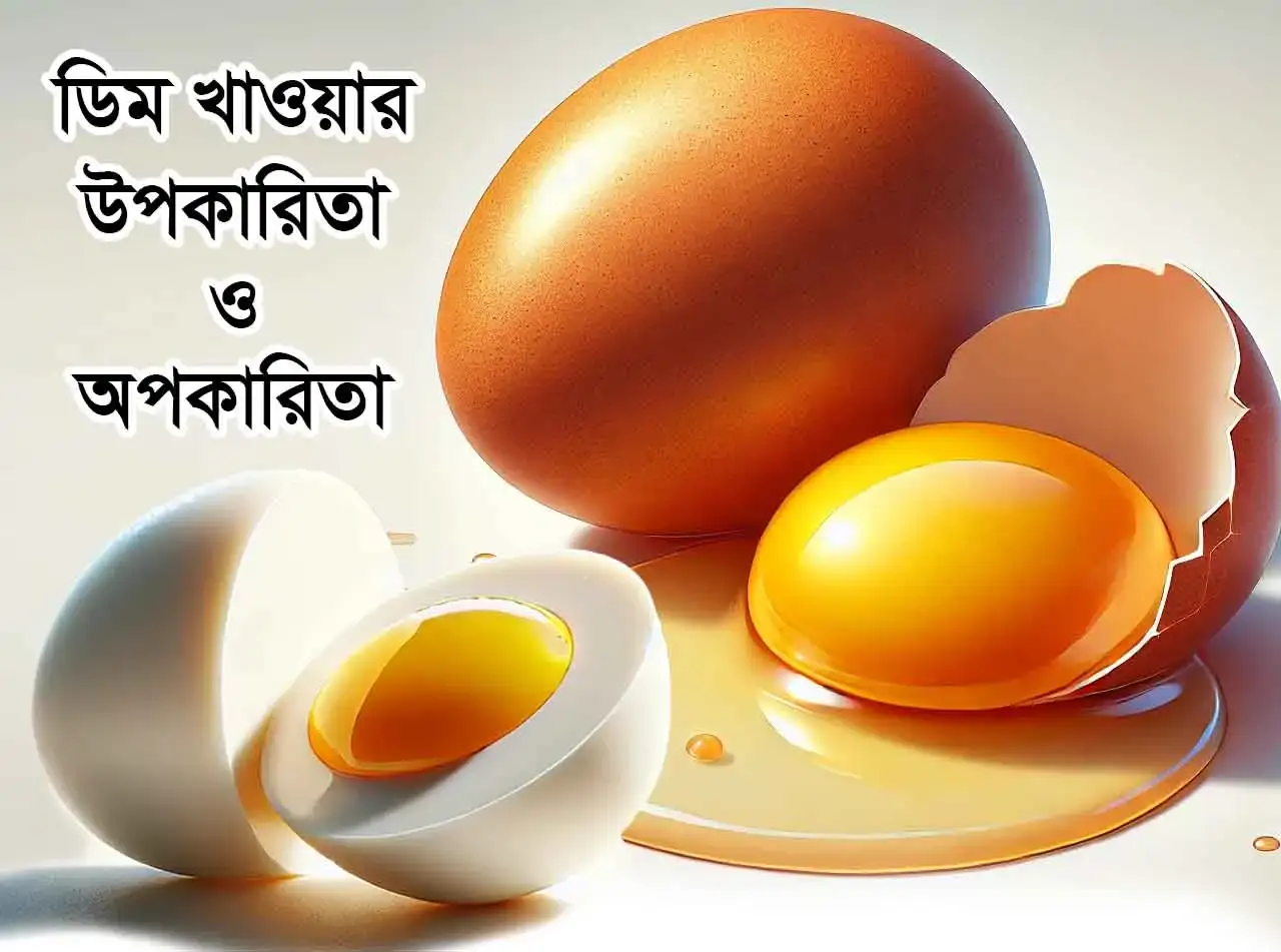 ডিম খাওয়ার উপকারিতা ও অপকারিতা
