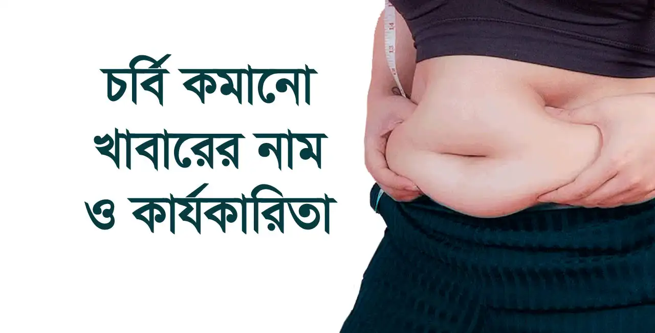 চর্বি কমানোর খাবারের নাম ও কার্যকারিতা