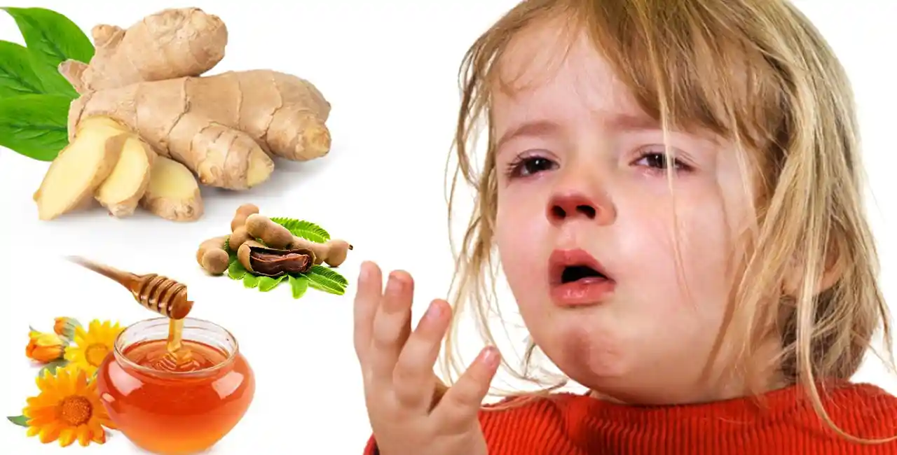 বাচ্চাদের কাশি কমানোর ঘরোয়া উপায়