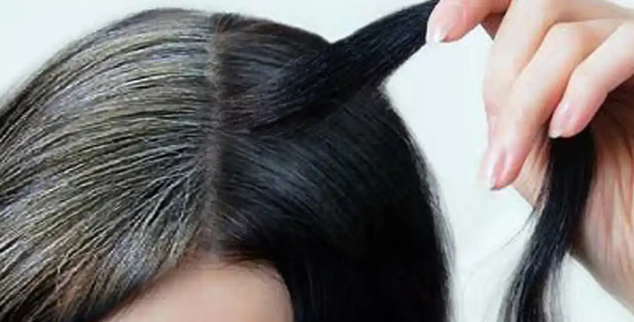 সাদা চুল কালো করার তেলের নাম ও ব্যবহার জানুন